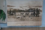 Picture of Hearse drawn by sled dogs